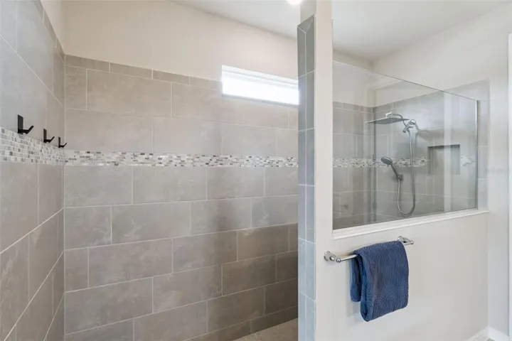 Primary Shower