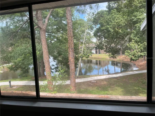 View from the bedroom's window
