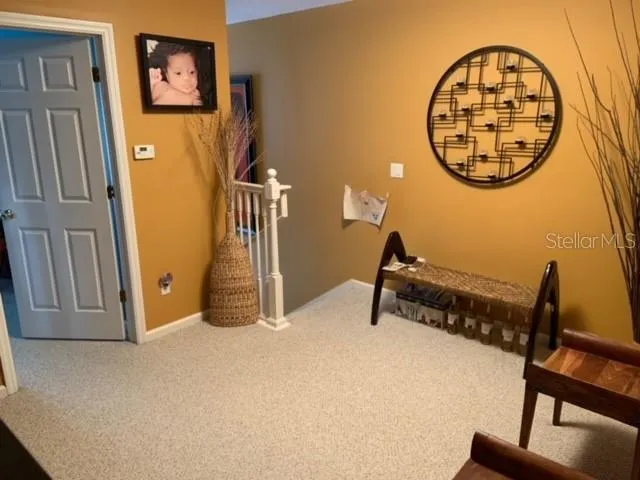 bonus area upstairs