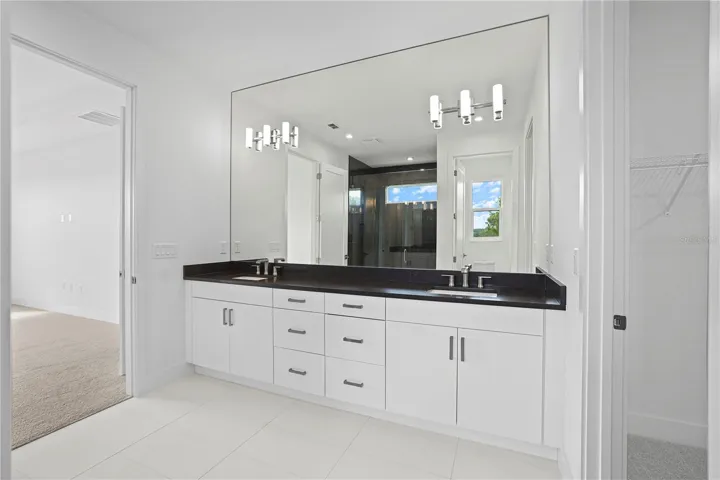 Owner's Bath