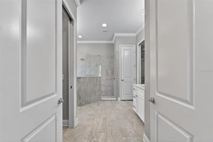Primary Bathroom Spa