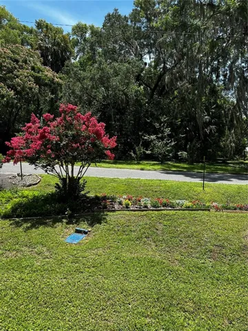 View from front porch