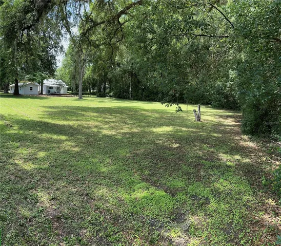 Huge Back Yard