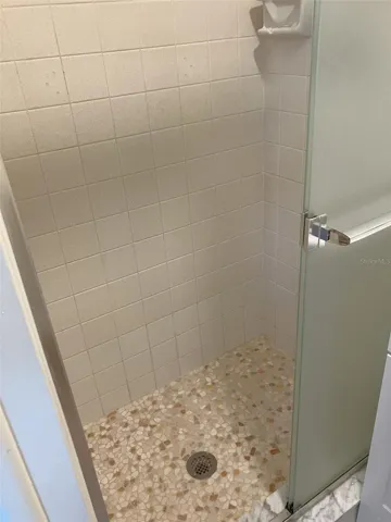 Primary Shower