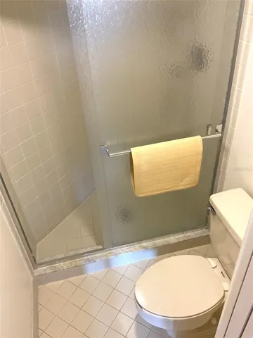 Primary Bathroom - Toilet and Shower area