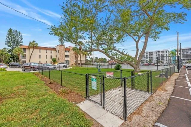 Dog Park