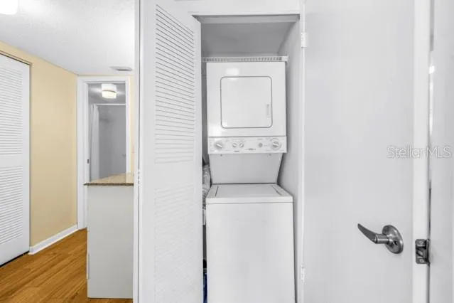 Laundry Closet in Bedroom