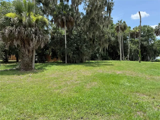 Lot View
