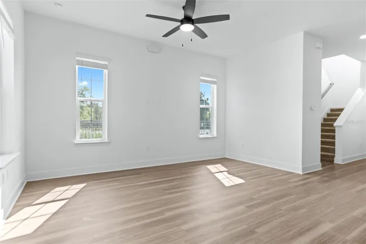 Living Room Windows