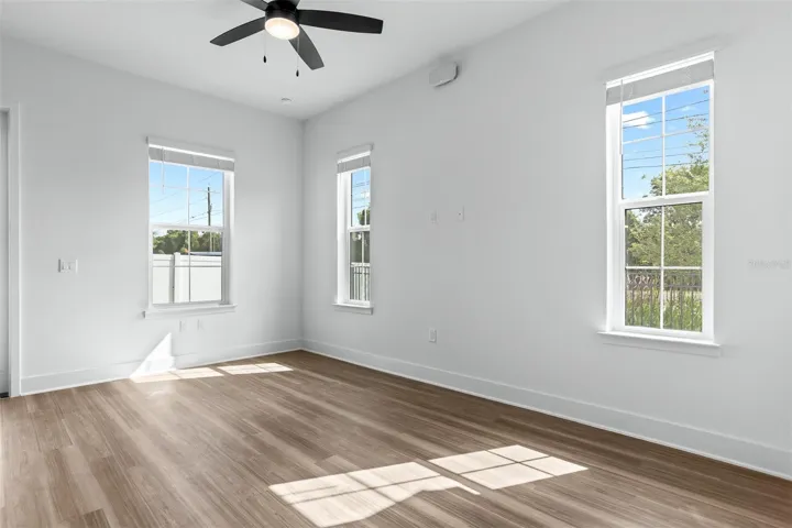 Living Room Windows