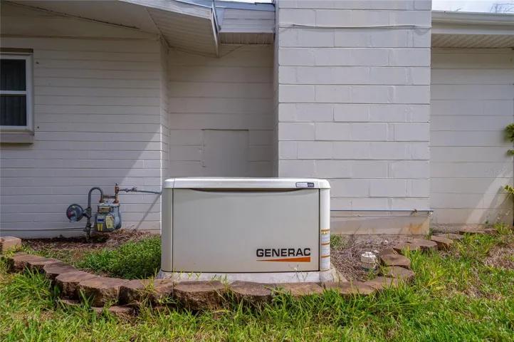 whole house generator
