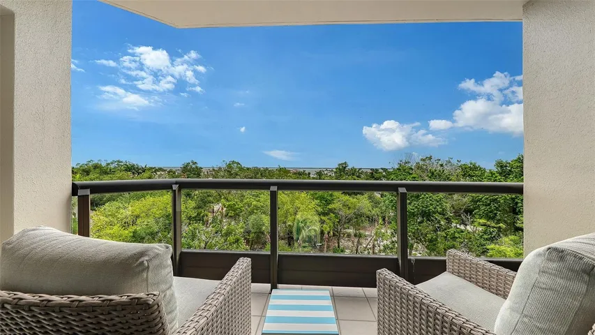 I love the treelined vista before the beautiful Sarasota Bay views