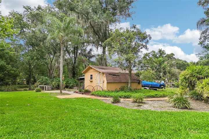 Backyard / Shed