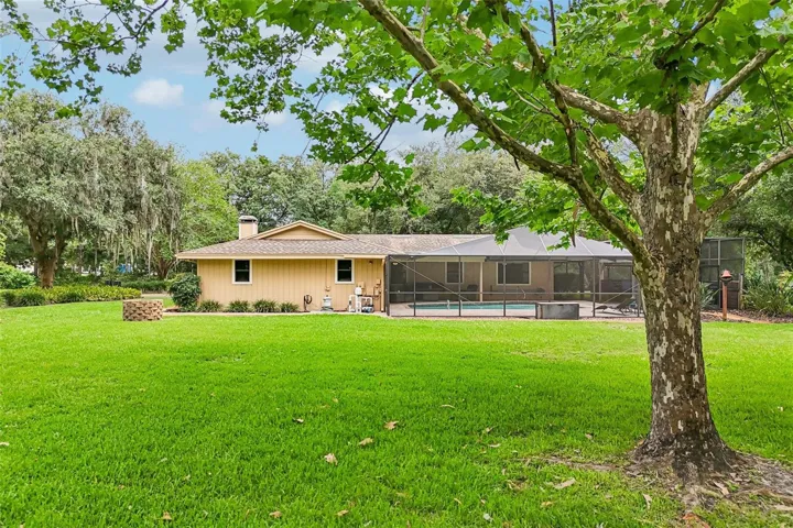 Large and Private Backyard