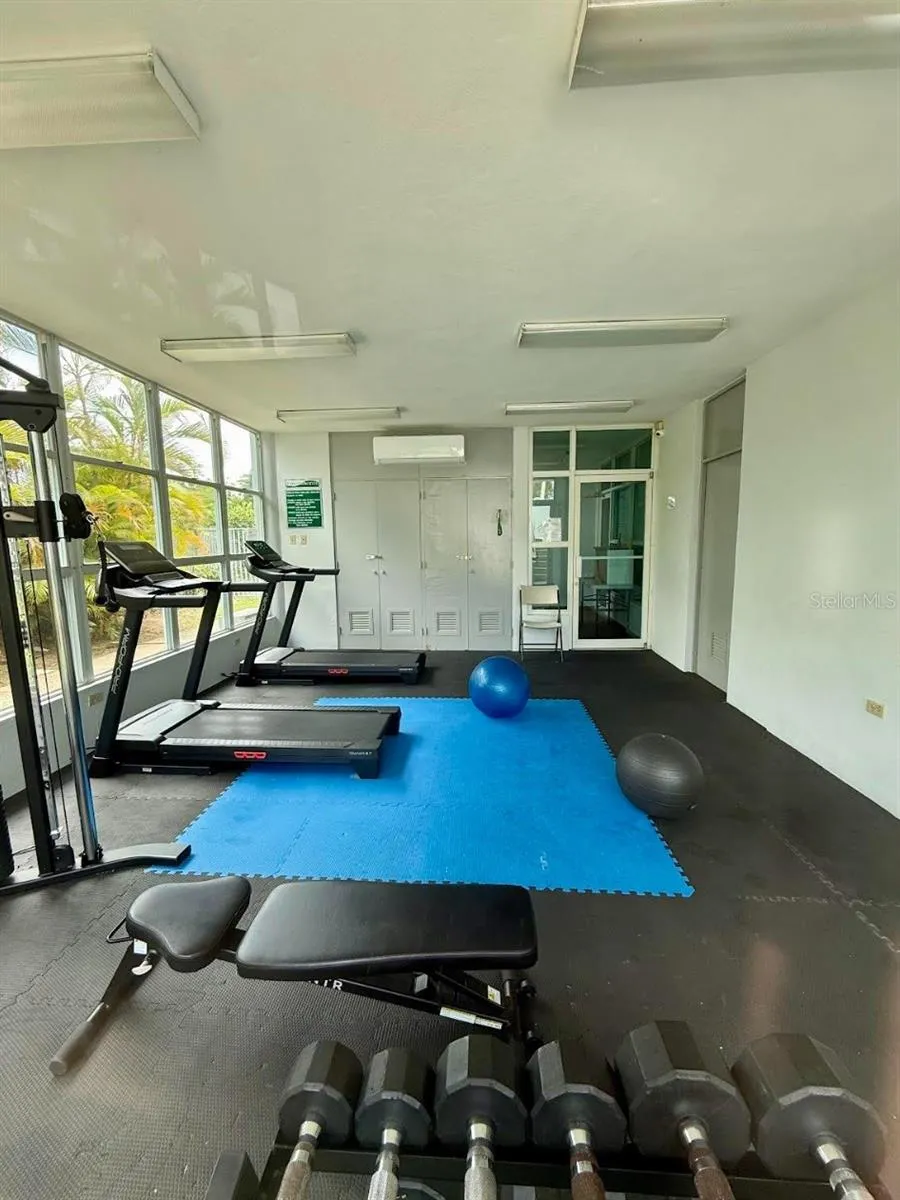 GYM