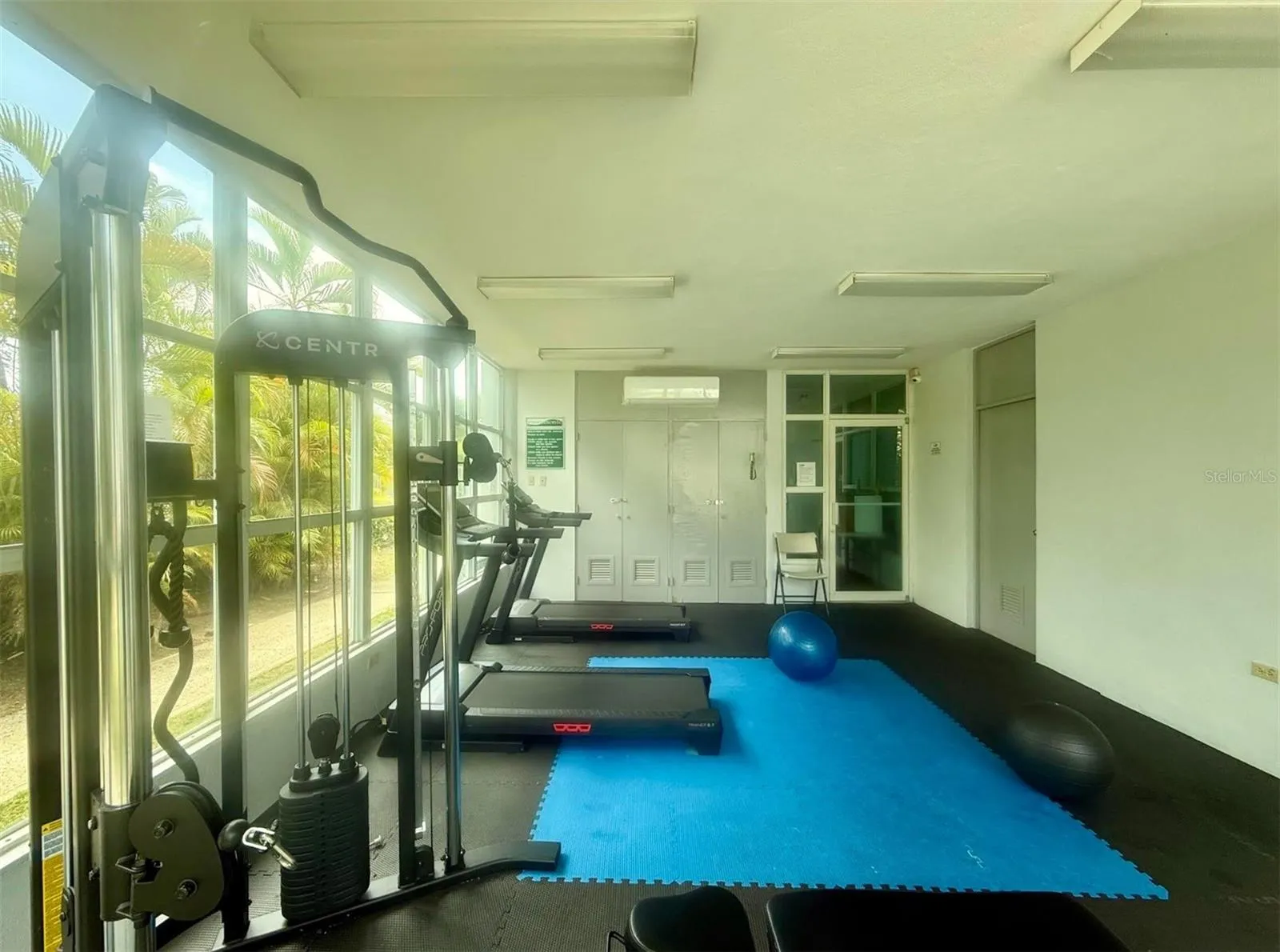 GYM
