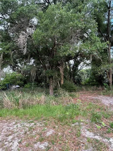 Rear property