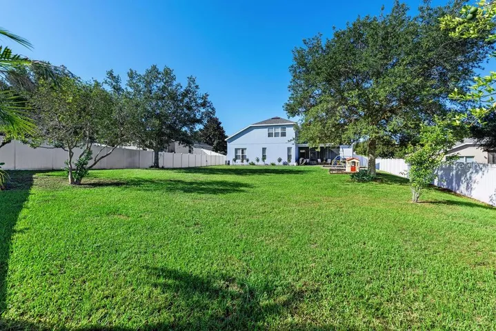 Back Exterior