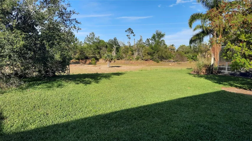 Panoramic view of the backyard