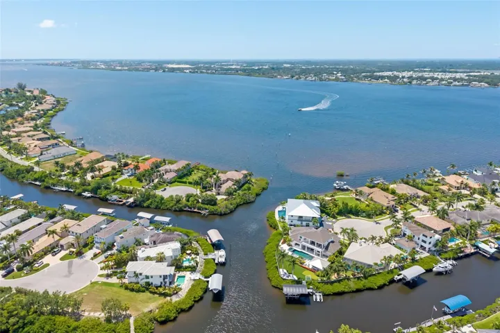 Gorgeous Manatee River
