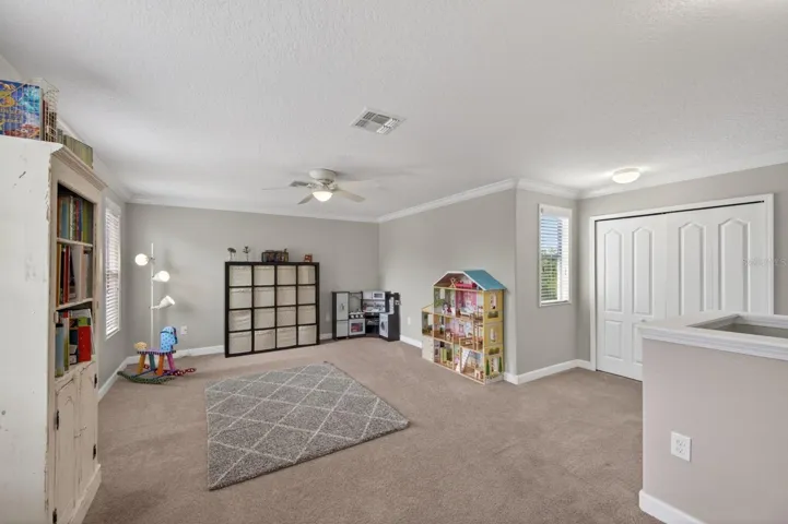 LOFT/BONUS ROOM