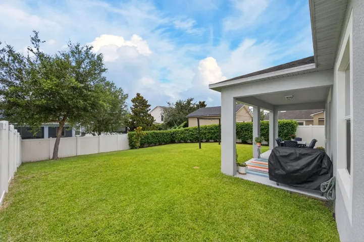 BACKYARD VIEW