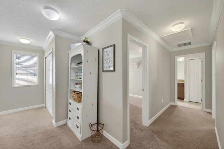 LOFT/BONUS ROOM