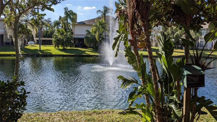 Pond views from home