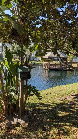 Pond views from home