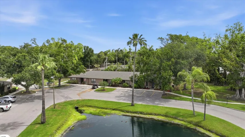 central pond, dead end circle