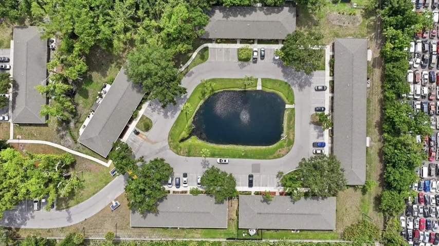 central pond, dead end circle