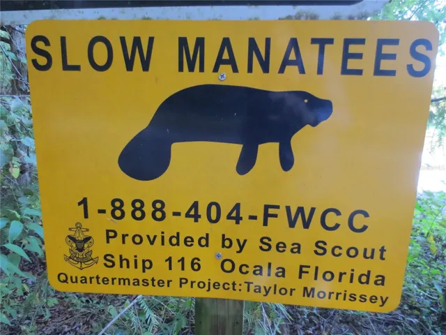 OCALA NATIONAL FOREST