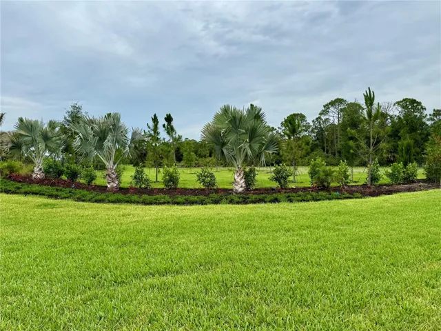 Grand Park entrance preserve