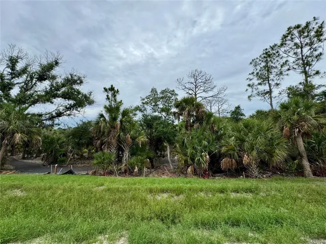 Backyard view of preserve 9718 Crystal Isles CIR, Sarasota, FL 34241 Grand Park