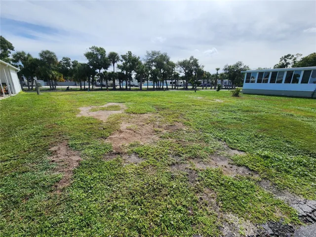 Extra Large Lot