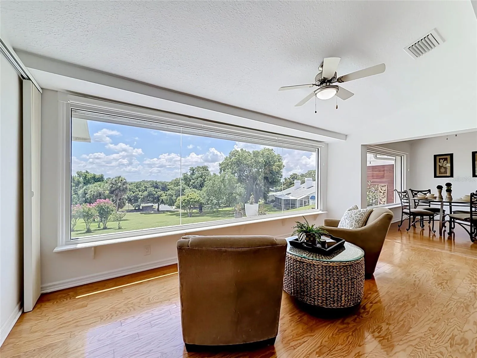 View from the Living Room