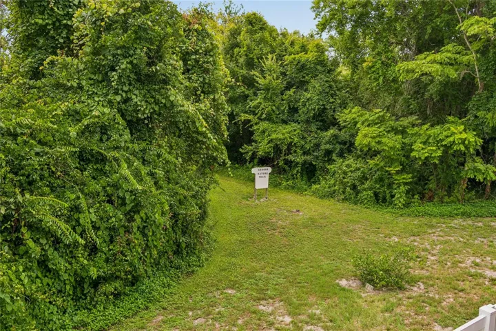 Community Nature Walk