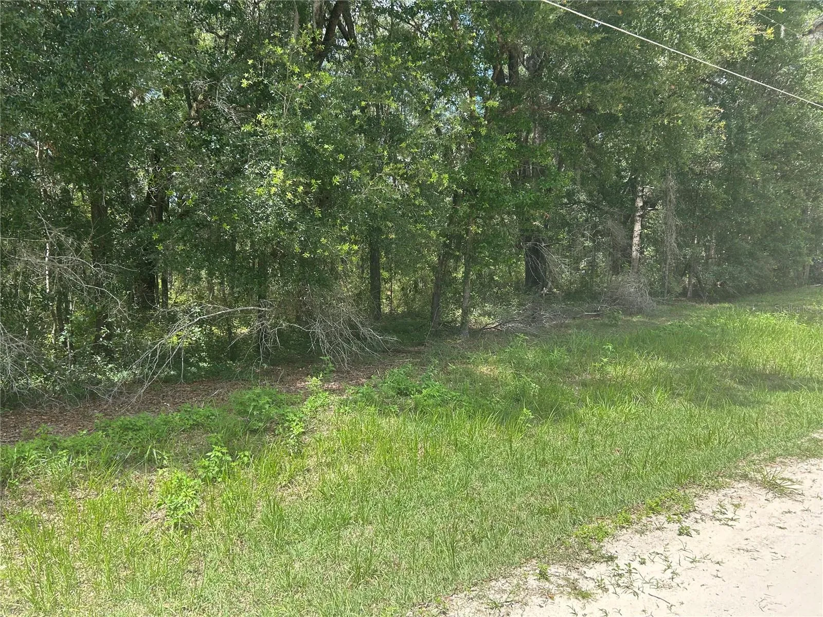 Side view of lot