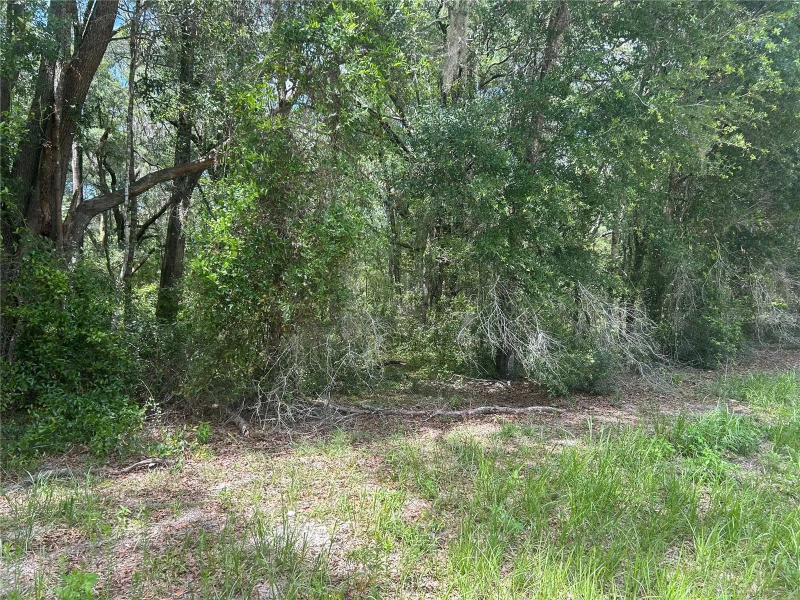 View of lot