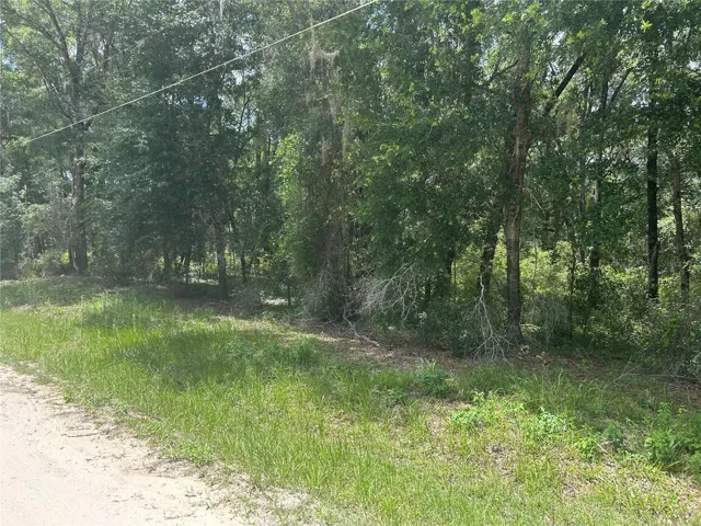 Side view of lot