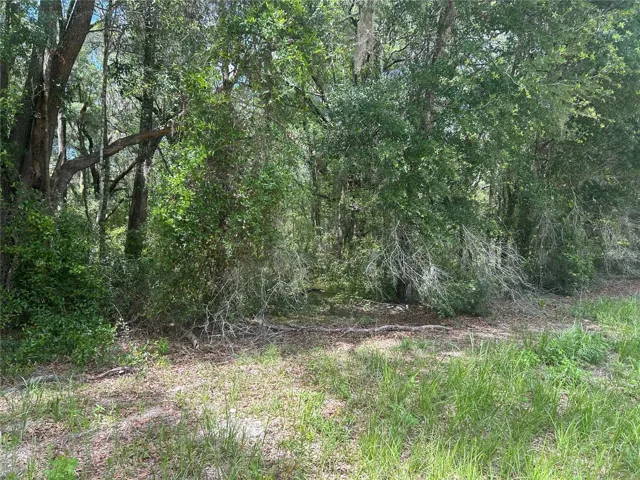 View of lot