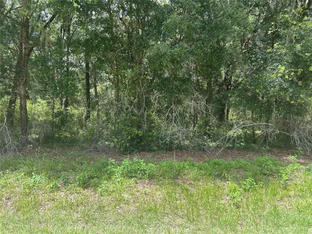 Front view of lot