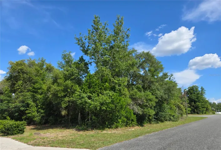 Homesite Front view Marion Oak Dr southbound view.