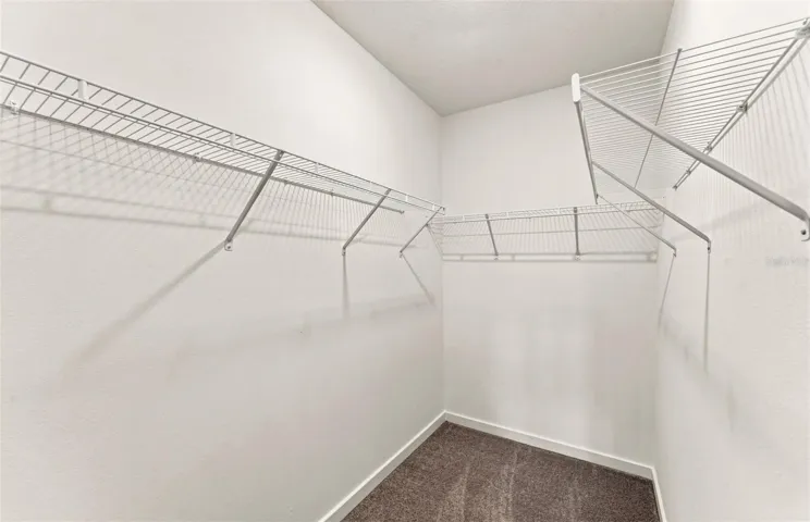 Owner's Walk-in Closet