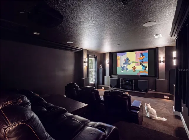 Custom theater room