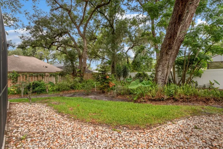 Back yard