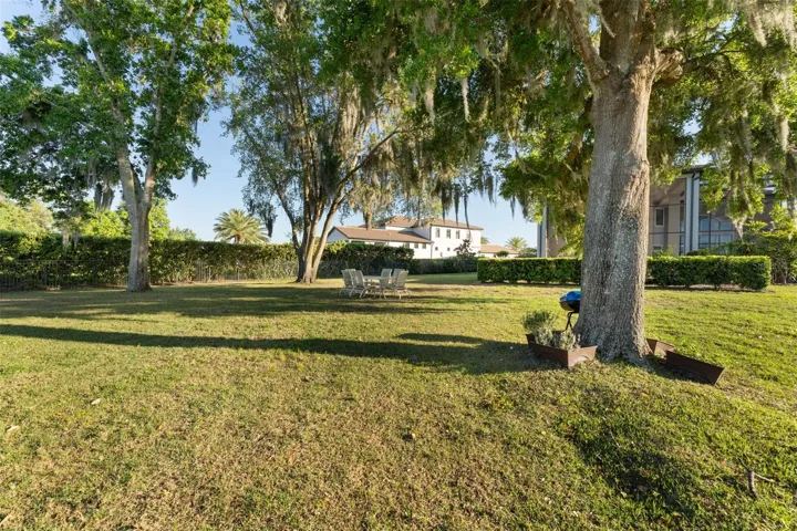 Backyard area