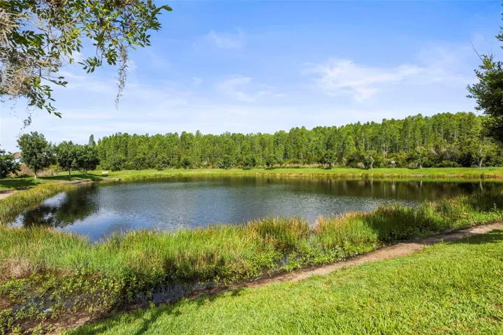 Backyard Water View