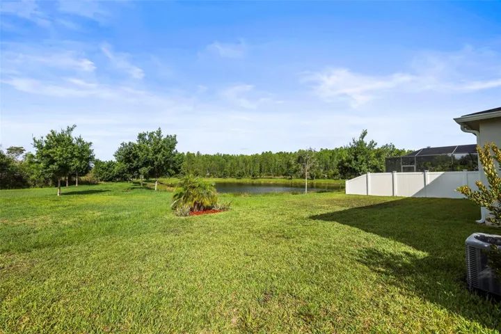Backyard View