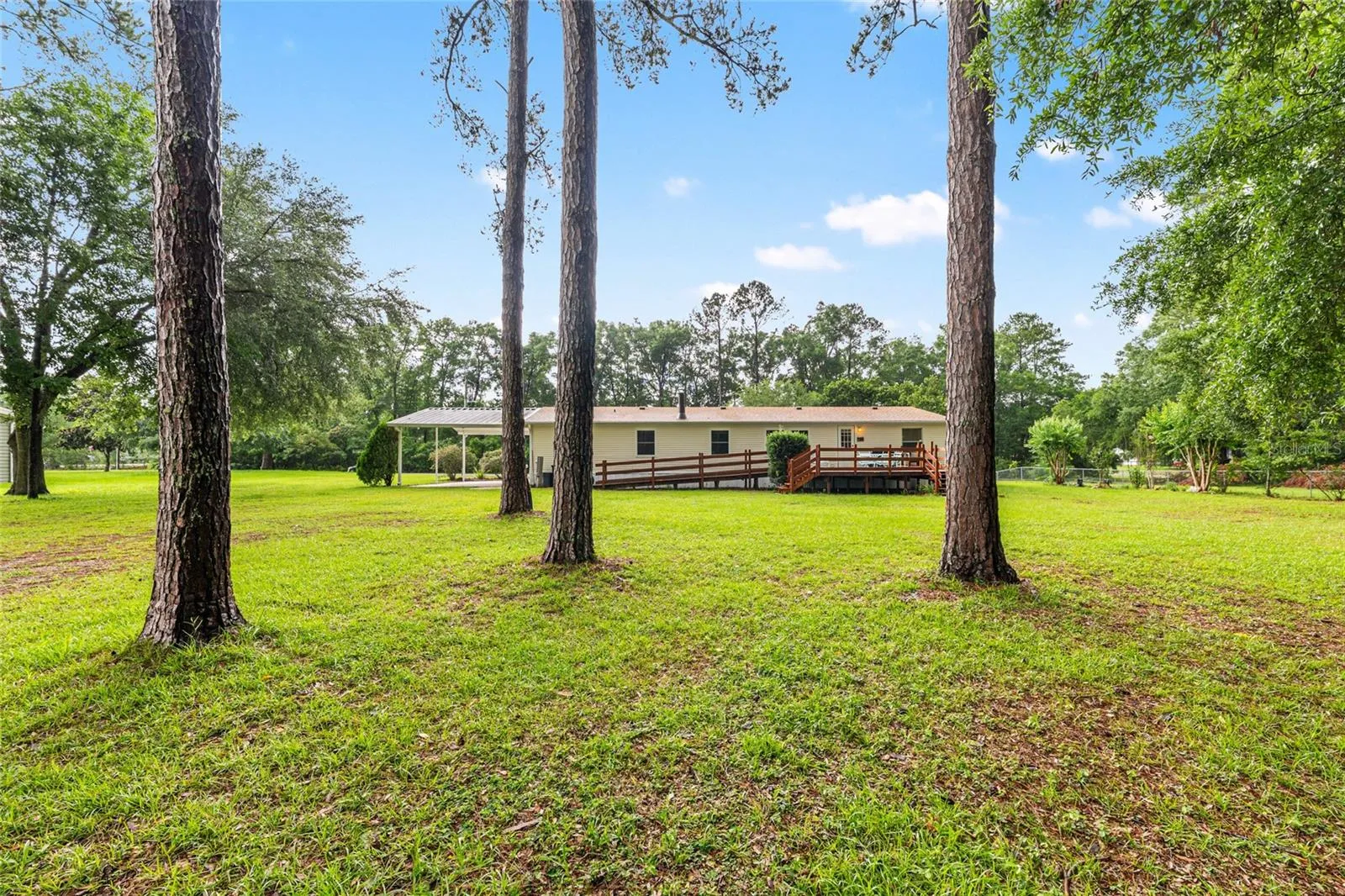 Large Yard